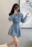 Vintage Fashion Design A-Line Long-sleeved Denim Dress HZ1024