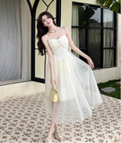 Simple Fashion Mesh Dress Design A-line Long High-waisted Spaghetti Strap Dress HZ1024