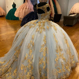 Gorgeous Sequin Applique V-neck Sweet 16 Quinceanera A-Line Prom Dress Birthday Dress Evening Dress Ball Gown HZ1024