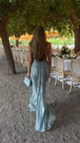 Elegant Blue Spaghetti Strap Sleeveless Pleated Backless Long Formal Prom Dress Evening Gown HZ1024