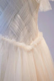 Champange Tulle Long Prom Dress, A-Line Evening Dress HZ1024